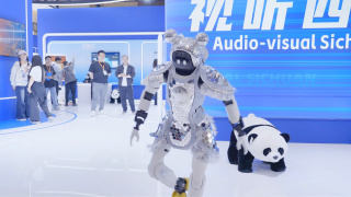 国产欧美一区二区三区精品